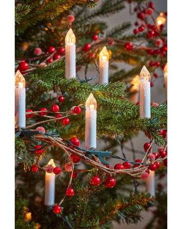 Tree Candles - Set of 50