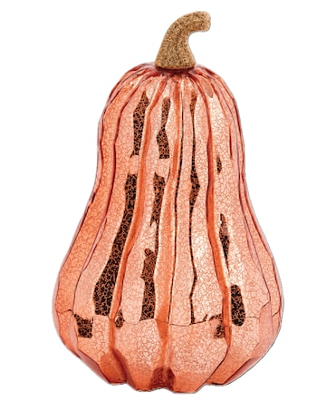 InLit Golden Squash