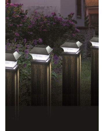 Post Light, 4pack, 3L