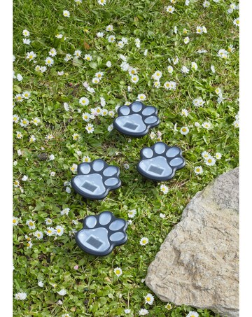 Solar PetPaws Stake 4pack