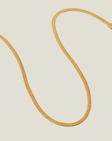 Accessorize  Omega Chain Necklace