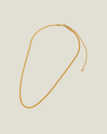 Accessorize  Omega Chain Necklace