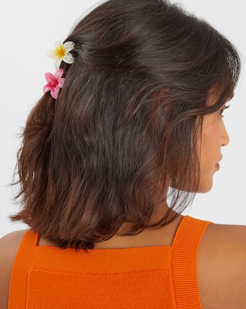 Accessorize Mini TropicaLClaw Clips