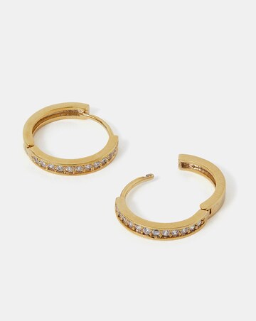Accessorize Gold-Plated Hoop Earrings