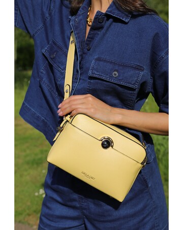 Luella Grey Sian Yellow Camera Crossbody