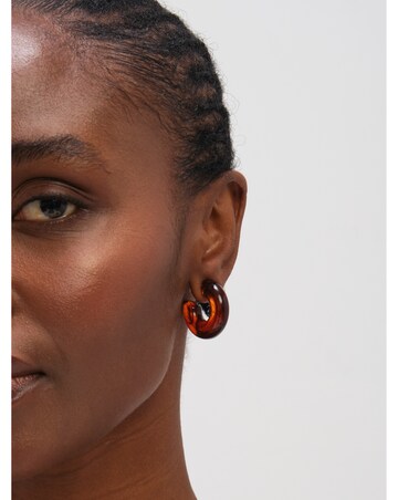 Mood Gold Plated Brown Resin Hoop Earrings