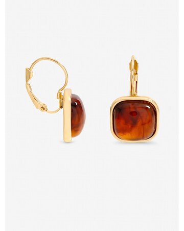 Mood Gold Plated Square Resin Drop Earrings