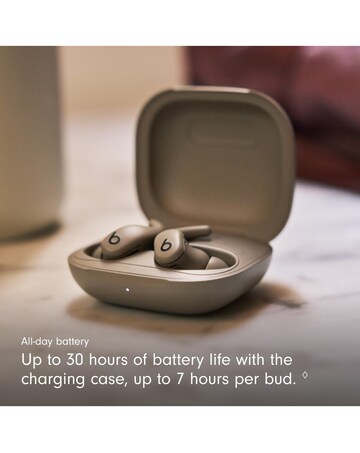 Beats Powerbeats Fit Wireless Workout Earbuds - Gravel Grey