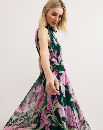 Phase Eight Lucinda Print Maxi Dress