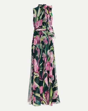 Phase Eight Lucinda Print Maxi Dress