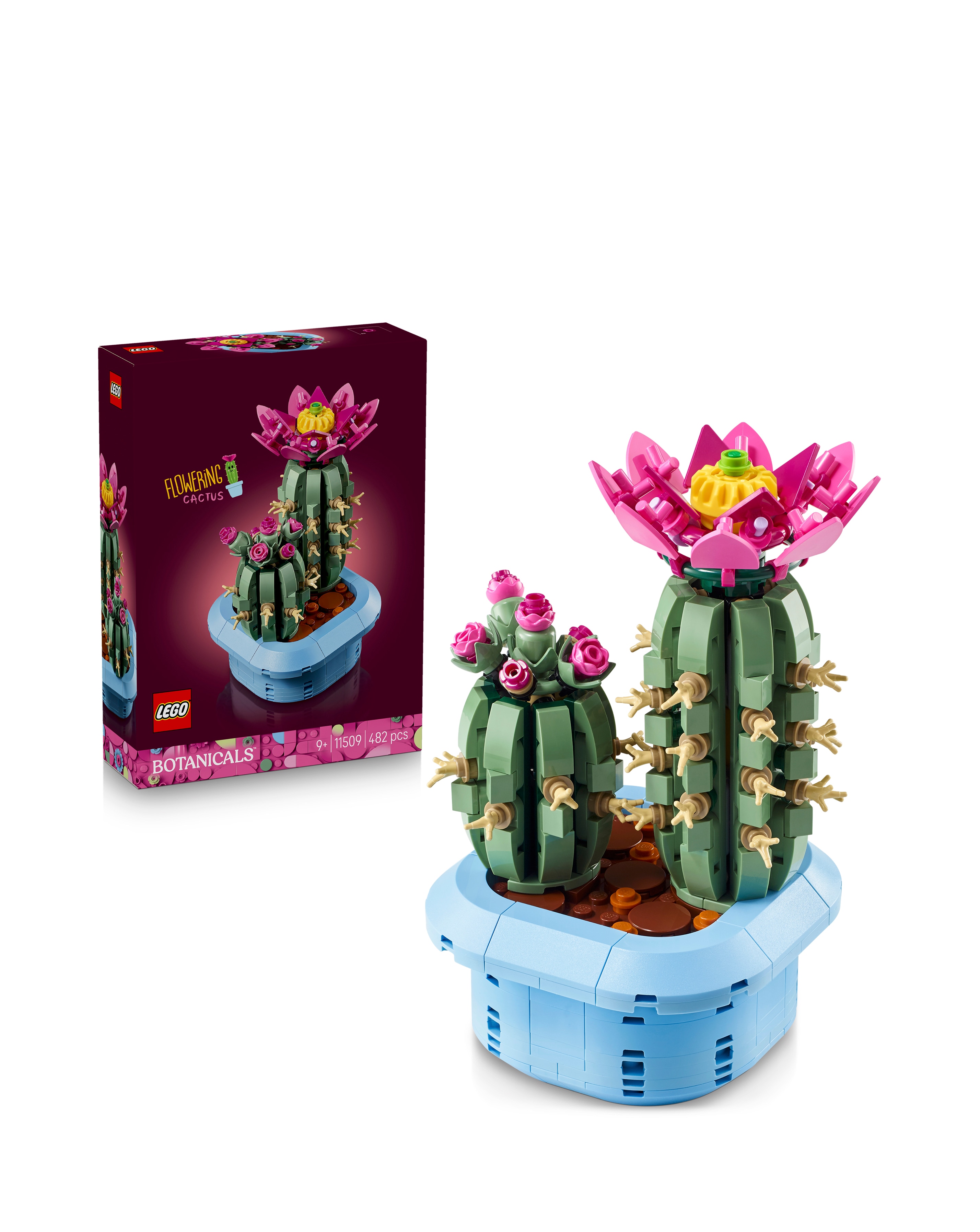 LEGO Botanicals Flowering Cactus